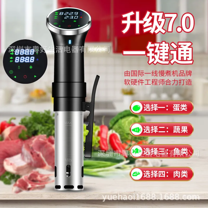 Cocedor de Precisión Sous Vide - Digital Sous Vide Precision Cooker reseña y precio